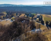 Działka budowlano-rolna w Dąbrówce Szczepanowskiej | Zdjęcie 6