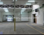 hala do wynajęcia | Zdjęcie 5