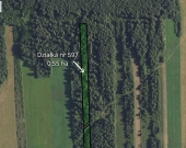 Dwie działki: rolna i leśna - Sojczyn Grądowy | Zdjęcie 3