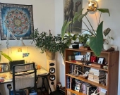 2pok, 41met, Okolice Parku Tołpy ANTRESOLA/PIWNICA (Wrocław) | Zdjęcie 2