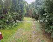 Gorzelnia Nowa - działka z nasadzeniami, domkiem | Zdjęcie 3