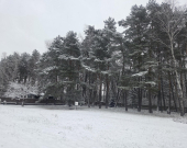 Wiązowna Kościelna z lasem, wz, mediami, | Zdjęcie 2