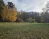 Wiązowna Kościelna z lasem, wz, mediami, | Zdjęcie 6