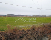 Duże działki rolne z potencjałem bud. po ok. 8000m | Zdjęcie 2