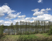 Działka z linią brzegową jeziora | Zdjęcie 4