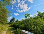 Krucza blisko Złotej, wz, lokalizacja, media | Zdjęcie 8