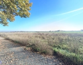 Połączenie terenów zielonych z świetną komunikacją | Zdjęcie 4