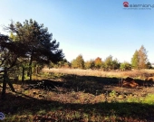 Atrakcyjna działka budowlana Rogoźnik | Zdjęcie 1