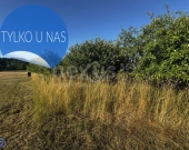 Wrocław Kminkowa działka inwestycyjna - nowa cena! | Zdjęcie 6