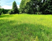 Działka Budowlana (4169 m2) Okolice Prostej (Ligota Piękna) | Zdjęcie 1