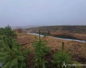 Nieczynna kopalnia piasku, okolice Milicza | Zdjęcie 2