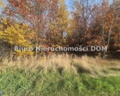 Sprzedam działkę zadrzewioną w gm Mykanw | Zdjęcie 4