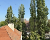 Mieszkanie 2 pokoje + duża piwnica, 45m2, Brzeg, ul. Wolności | Zdjęcie 8