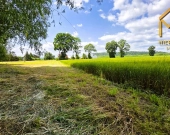 Działka pod zabudowę mieszkaniowo-usługową na gran | Zdjęcie 9