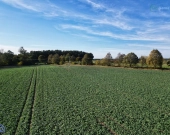 Działki pod Kołobrzegiem w bardzo dobrej cenie ! | Zdjęcie 3