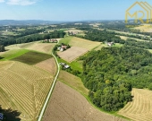 Działka rolna 0,33 ha w gminie Ryglice | Zdjęcie 4