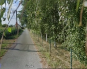 sprzedaż działka budowlana 37 ar Kały-Opole 22 km. | Zdjęcie 3