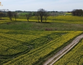 duża działka w Nowych Bielicach | Zdjęcie 5