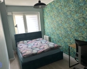 2pok 51met Okolice Jedności Narodowej BALKON/WINDA (Wrocław) | Zdjęcie 3