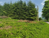 Działka budowlana w miejscowości Siedliska | Zdjęcie 12