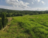 Działka w Lipnicy Dolnej - 99 arów | Zdjęcie 2