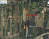 Działka rolna | 3000 m2 | cena do negocjacji | Zdjęcie 2