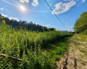 Krucza blisko Złotej, wz, lokalizacja, media | Zdjęcie 5