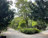 2pok, 69met, Okolice Wandy ROZKŁAD/BALKON/PIWNICA (Wrocław) | Zdjęcie 6