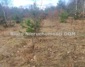 Działka budowlano leśna gm. Olsztyn | Zdjęcie 7