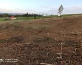 Działka rolno-budowlana (5600m2) ul. Leśna MEDIA (Tuchów) | Zdjęcie 5
