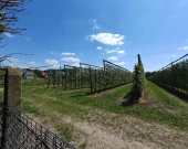 5 do wyboru na Klonowej, wymarzona lokalizacja | Zdjęcie 8