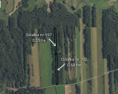 Dwie działki: rolna i leśna - Sojczyn Grądowy | Zdjęcie 1