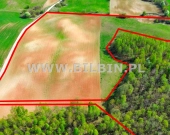 Działka z linią brzegową do jeziora Boczniel ! | Zdjęcie 4