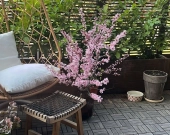 Mieszkanie z pięknym tarasem, wysoki standard | Zdjęcie 5