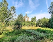 Działka budowlana Staw Spokojna okolica Donimierz | Zdjęcie 3