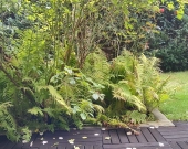 1pok, 26met, okolice Wawrzyniaka TARAS/OGRÓD (Wrocław) | Zdjęcie 13