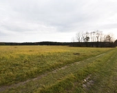 Malownicza działka 1,22 ha przy lesie – Radawie | Zdjęcie 8