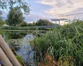 Nowa Pasłęka, Zalew Wiślany, działka rekreacyjna. | Zdjęcie 4