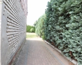 Dom wolnostojący z dużą działką. | Zdjęcie 2