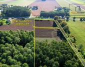 Duża działka budowlana z własnym lasem – 7012 m² | Zdjęcie 3