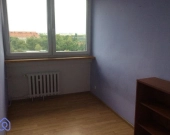 2pok, 38met, Okolice Drukarskiej PIWNICA/WINDA (Wrocław) | Zdjęcie 3