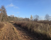 pod produkcję, magazyny lub usługi | Zdjęcie 4