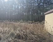 prywatny las, wz - dom jednorodzinny, droga gminna | Zdjęcie 4