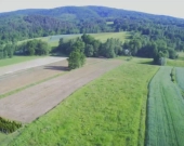 Lipnica Dolna - 7 hektarów 33 ary | Zdjęcie 4
