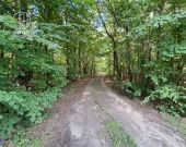 Siedlisko z domem i lasem, Gajowniki | Zdjęcie 8