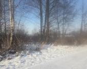 MPZP, spokój, blisko stawy i kąpielisko | Zdjęcie 3