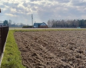 Działki-  Pierszyce, gm. Żabno | Zdjęcie 7