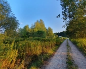 wz, lokalizacja, możliwość dokupienia działek obok | Zdjęcie 2