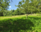 Działka budowlana - Janowice, powiat tarnowski, gm. Pleśna | Zdjęcie 2