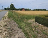 Działka Budowlana (2000 m2) MEDIA (Brzozowiec) | Zdjęcie 12